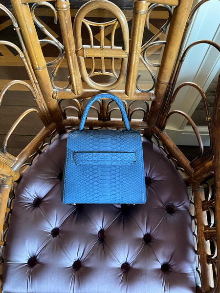 Mini in Blue Python