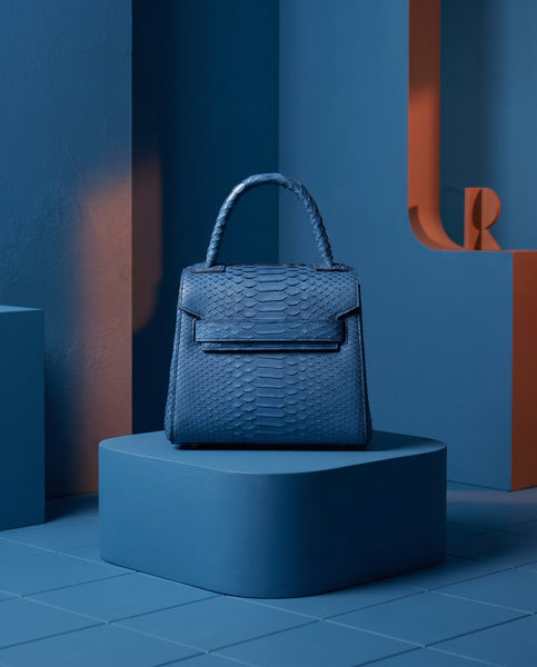 Mini in Blue Python