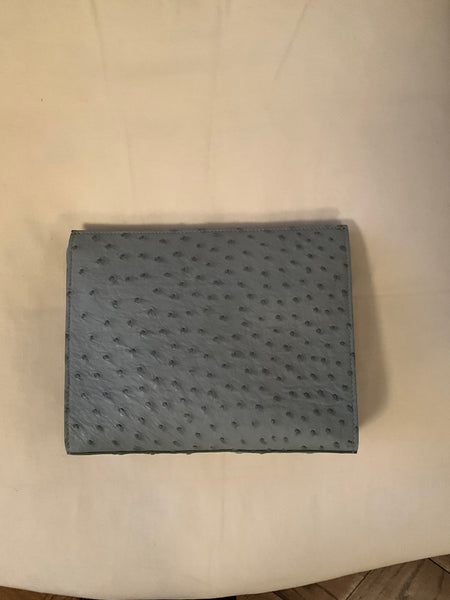 Crossbody in Ostrich light Blue